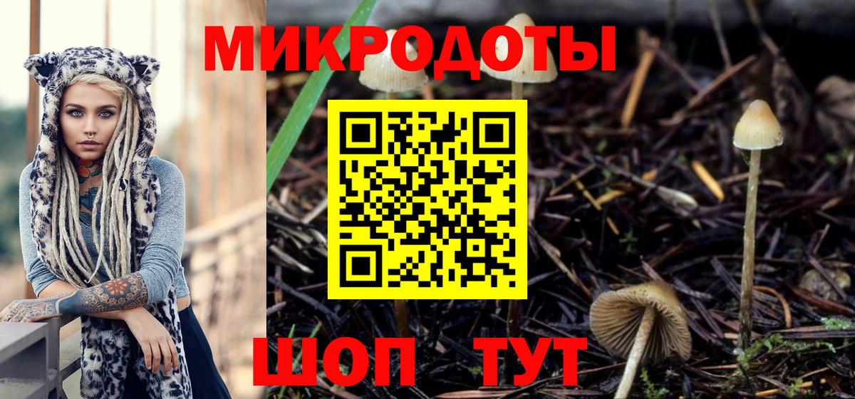 Псилоцибиновые грибы MAGIC MUSHROOMS Павловский Посад